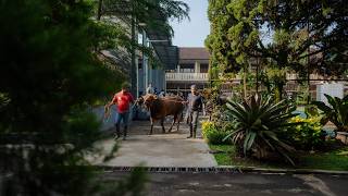 IDUL ADHA 1445H - BERQURBAN || SMAN 1 CICURUG