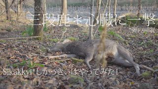 シーズン４ エゾシカ猟＃7 【三段鹿＊心臓に一撃】弾の回収