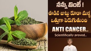 Regrow Hair After Hair Fall | Natural Way to Get Long and Thick Hair | Dr. Manthena's Beauty Tips