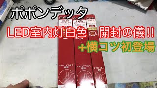 【Nゲージ】ポポンデッタ　LED室内灯白色　開封の儀‼︎+横コツ初登場‼︎