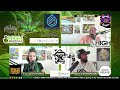 episode 53 arizona cannabis news interview w beau founder of glorious extracts larry craft g