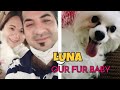 All About Luna/ Our Fur Baby /Life Vlog /Aliyah and Mommy LDR