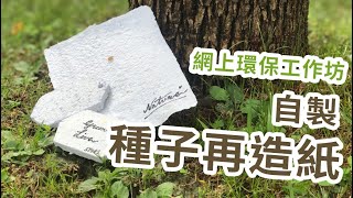 種子再造紙工作坊