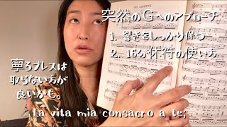 歌唱レクチャー 23: Malinconia, Ninfa gentile その2