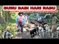 Berburu Babi Hari Rabu Di Sijunjung Sumatera Barat