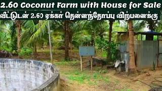 2.60 Acre Coconut Farm For Sale With House  @Beautiful Location| அனைத்து வசதிகளுடன் கூடிய2.60 ஏக்கர்