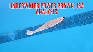 Underwater Power Prawn USA Analysis [Weighted Hook VS. Jighead]