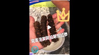 【0失败】只要做对这几步，阿拉斯加红参完美泡发！