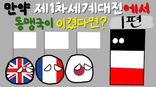 컨트리볼 대체 역사 시나리오-만약 제1차세계대전에서 동맹국이 이겼다면?(1)