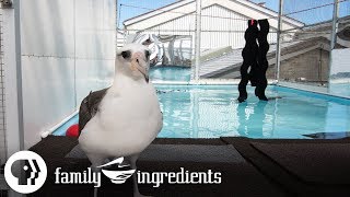 Ocean Care | Family Ingredients | PBS Food