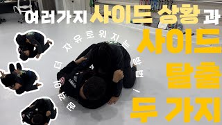 사이드 포지션 탈출 Escape Side Position