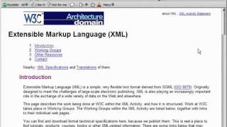 XML Tutorial 7 XML & W3C Standard