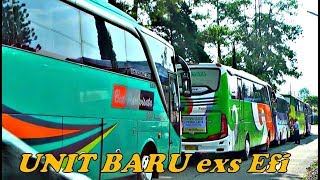 Penambahan Unit Baru Bus EDDY TRANSPORT Jogja Exs EFISIENSI,,,