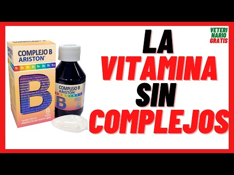 ¿Para Qué Sirve El Complejo B En Los Perros? - Corporación Dejando Huella