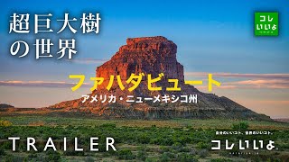 『超巨大樹の世界・予告』ファハダビュート（アメリカ・ニューメキシコ州）　コレいいよ.JP