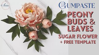 Gumpaste Peony Buds & Leaves | SUGAR FLOWERS | FREE TEMPLATE | PART 2/2