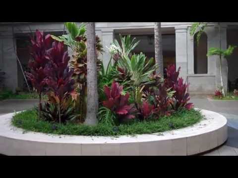 Hawaii State Library... Hawaii State Library...