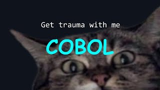 cobol on mainframes traumatized me