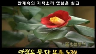 아직도 못다 부른 노래 #1 여수블루스 (특집다큐 2001년)