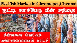 PKS FISH MARKET || CHENNAI ||