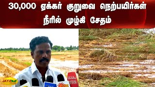 30,000 ஏக்கர் குறுவை நெற்பயிர்கள் நீரில் முழ்கி சேதம் | Crop Damage | Rain | Thiruvarur