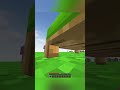 Can I walk under it? 😅| ZENN #shorts #minecraft