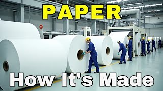 How Paper Is Made – From Trees to Knowledge