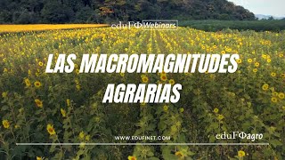 🌾 Las macromagnitudes agrarias (EdufiWebinar 115)