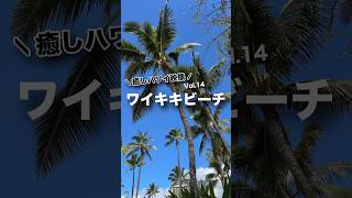 本日の #癒しハワイ 映像は #ワイキキビーチ から！#ハワイ #ハワイ旅行 #ワイキキ #ハワイ気分 #hawaii #waikiki #waikikibeach #oahu #beach