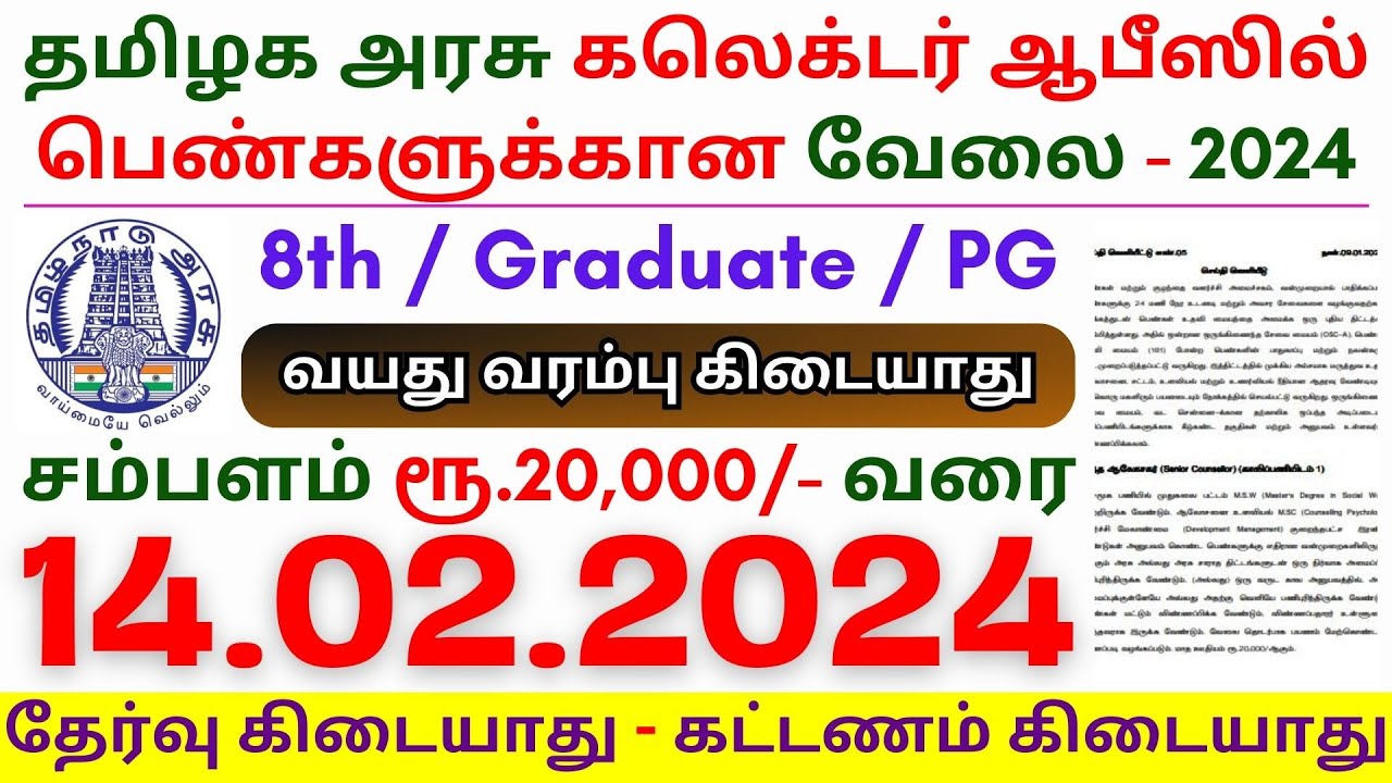 TN Collector Office Jobs 2024 ⧪ TN Govt Jobs 🔰 Job Vacancy 2024 ⚡ ...