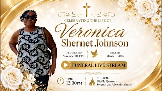 Homegoing Service For Veronica Shernet Johnson