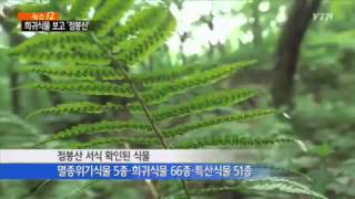 '천상의 화원'과 '원시의 자연' 간직한 점봉산 / YTN