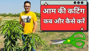 Aam ki pruning kab kare | Aam ki pruning kaise karen | Mango Pruning