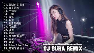 Chinese DJ 2019 || 年最劲爆的DJ歌曲 - 2019電音 DJ Sura Remix《黎明前的黑夜 ✘ 浪子回头 ✘ 生僻字 ✘ 123我爱你 ✘ 可能否》2019年最劲爆的DJ歌曲