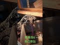 藍泰加 黑白泰加 南美蜥 爬蟲類 爬蟲展 酷斯拉 兩棲爬蟲 蜥蜴 陸龜 水龜 巨蜥 蛇蛇 台灣 人工繁殖