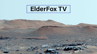 Mars Live - ElderFox TV 24/7