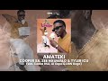 Cooper SA, Zee Nxumalo & Tyler ICU - Amateki (feat. Ceeka RSA, Al Xapo & DBN Gogo) | Audio