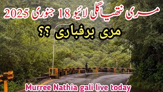 murree live today | #murree weather today | nathia gali today | murree #snowfall  update#2025