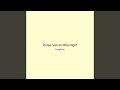 Pulse Velvet Moonlight