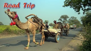 Delhi to Mandawa - Shekhawati - Road Trip - Rajasthan - India