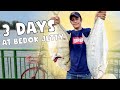 3 Days at Bedok Jetty | Catching HUGE Queenfish | Fishing in Singapore | Yumada Fishing