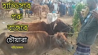 চৌয়ারা হাড্ডীসার গরুর দাম জানুন |গরুর হাট|কুমিল্লা