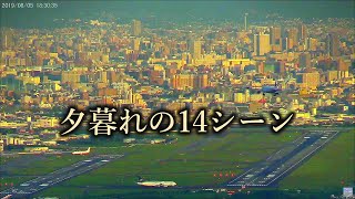 【再編】2019.08.05 夕暮れの美しい14シーン｜大阪空港ライブカメラ、他