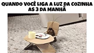 MELHORES MEMES EM IMAGENS - Quando ligo a luz da cozinha 😂