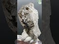 世界で一番高波動を持つ石☆フェナカイト （ロシア産） rainbow phenacite【mineral stone】 shorts