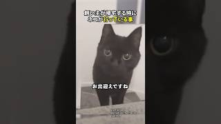 飼い主が帰宅するときにネコが行っている事