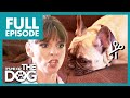 Owner Wants To Cut Her Noisy Dog's Vocal Chords😭🔉 | Full Episode | It's Me or The Dog