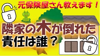 台風で隣の木が倒れてきた時責任は誰にあるのか？#34【元保険屋さんが教える】損害保険