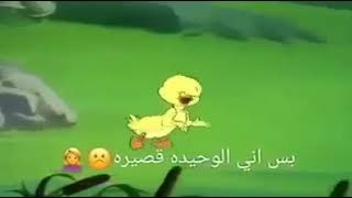 حال القصيره 😂😂الوصف مهم 👇