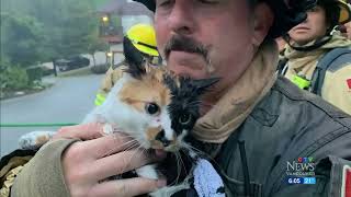 'We heard terrible cries for help': Townhome fire in B.C. considered suspicious